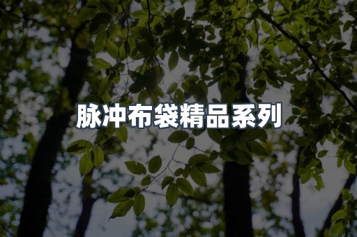 脉冲布袋精品系列